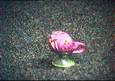 Click to display the file, a003-kadionica_m.JPG